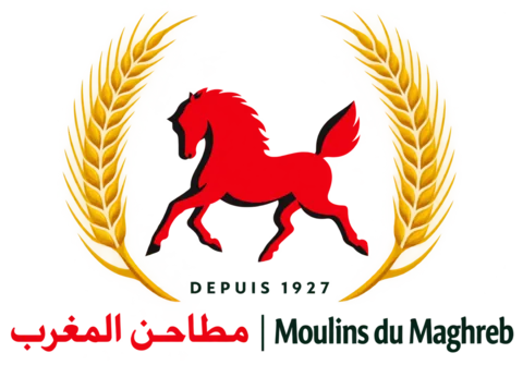 مطاحن المغرب