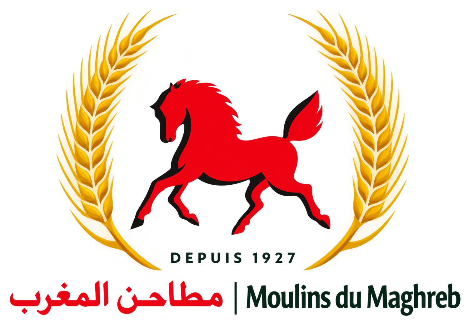 مطاحن المغرب